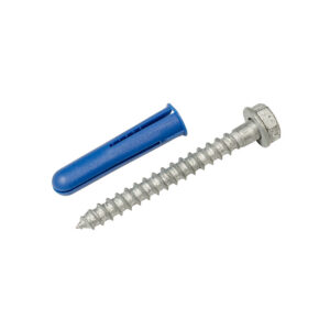 Coach Screw and Plug